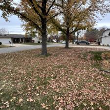 Detailed-and-Affordable-Leaf-Removal-Service-in-St-Peters-Missouri 0